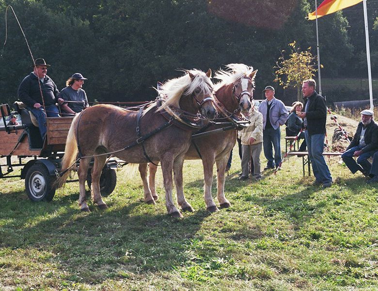 Vereinsmeisterschaften 2009 Fahrsportverein Kaiserslautern