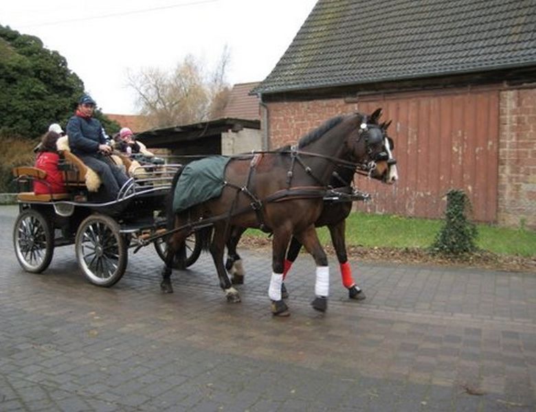 Nikolausfahrt 2009 Fahrsportverein Kaiserslautern