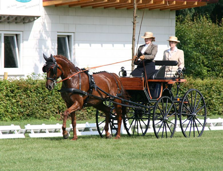 Zeiskam 2009 Fahrsportverein Kaiserslautern