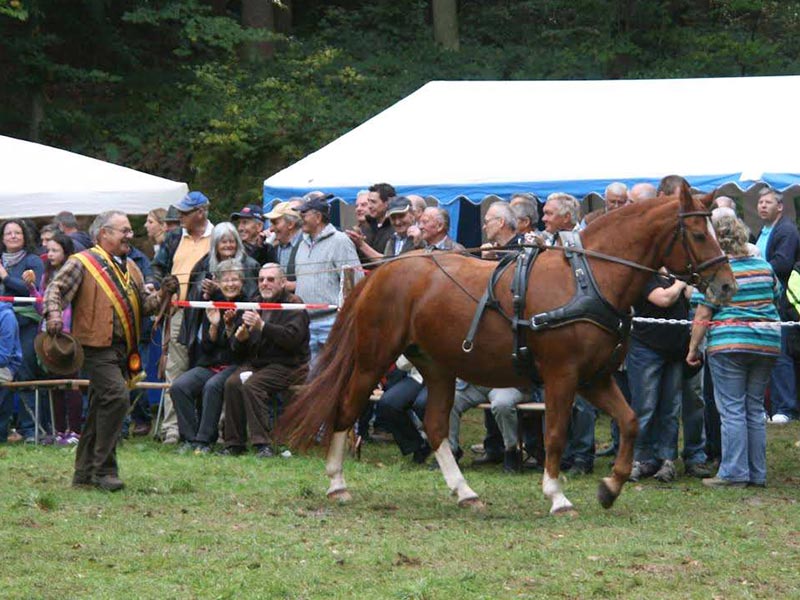 Siegerehrung Holzrücken